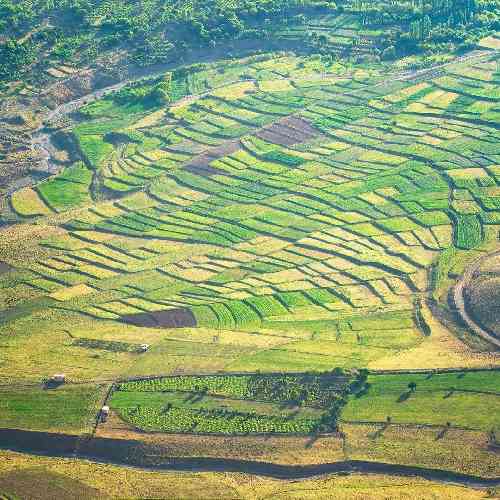  کلافم حتی یه محله ندارم اونقد باریک شده میخوام عقربه رو درارم